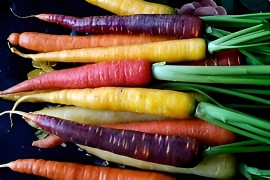 Un’amica dell’inverno: la carota