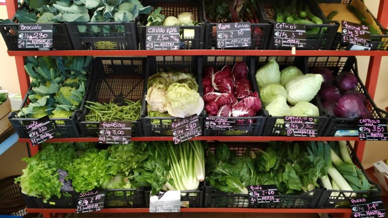 Quali sono le verdure di stagione?